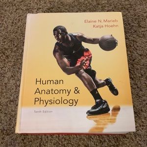 Human Anatomy and Physiology tenth edition by Elaine N. Marieb and Katja Hoehn